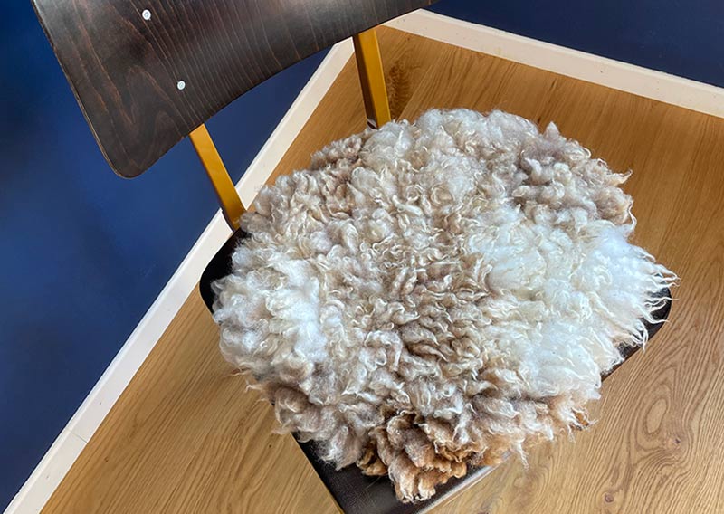 Gutschein – Fellfilzen Workshop: Zwei kleine Schafwoll-Sitzfelle filzen. Halbtagesworkshop von 13-19 Uhr. Inklusive Verpflegung und sämtliches Material. Keine Vorkenntnisse nötig. Du hast in diesem Workshop Zeit zwei kleine runde Schafwollfelle zu filzen. Passend für Stühle. Ein weiches, flauschiges Fell bereichert jede Seele und verströmt die richtige Portion «Gemütlichkeit» in deinem Zuhause. Gefilzte Felle sind Zeugen vom freien Leben der Schafe, sie sind pur, natürlich und aus 100 % Wolle, ganz ohne Leder. Ich bringe dir Schritt für Schritt bei, wie du ein eigenes, handgefertigtes Schaffell herstellst. Dabei werden wir die geschorene, unbehandelte Rohwolle von glücklichen Schafen mit Wasser und Seife so verarbeiten, dass ihre Felloptik möglichst erhalten bleibt. Die Rückseite darfst du individuell gestalten. Fellfilzen ist ein schmutziger aber sinnlicher Job. 