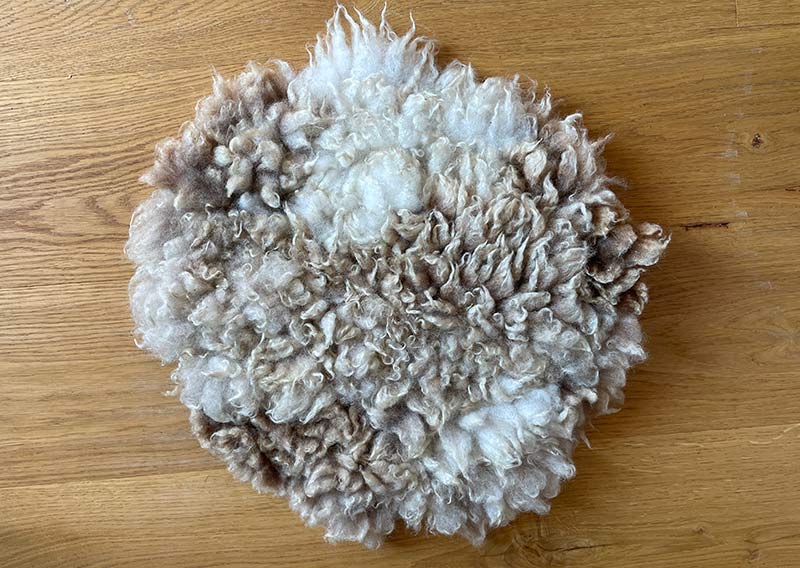 Gutschein – Fellfilzen Workshop: Zwei kleine Schafwoll-Sitzfelle filzen. Halbtagesworkshop von 13-19 Uhr. Inklusive Verpflegung und sämtliches Material. Keine Vorkenntnisse nötig. Du hast in diesem Workshop Zeit zwei kleine runde Schafwollfelle zu filzen. Passend für Stühle. Ein weiches, flauschiges Fell bereichert jede Seele und verströmt die richtige Portion «Gemütlichkeit» in deinem Zuhause. Gefilzte Felle sind Zeugen vom freien Leben der Schafe, sie sind pur, natürlich und aus 100 % Wolle, ganz ohne Leder. Ich bringe dir Schritt für Schritt bei, wie du ein eigenes, handgefertigtes Schaffell herstellst. Dabei werden wir die geschorene, unbehandelte Rohwolle von glücklichen Schafen mit Wasser und Seife so verarbeiten, dass ihre Felloptik möglichst erhalten bleibt. Die Rückseite darfst du individuell gestalten. Fellfilzen ist ein schmutziger aber sinnlicher Job. 