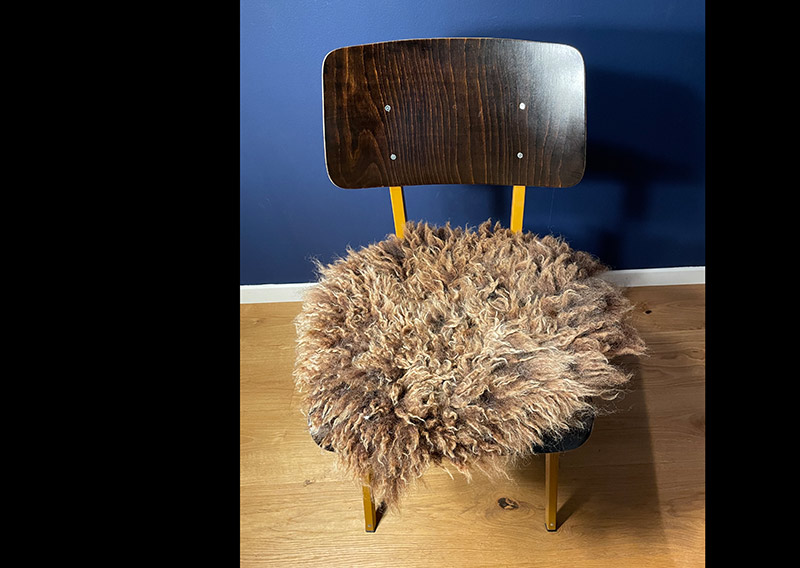 Gutschein – Fellfilzen Workshop: Zwei kleine Schafwoll-Sitzfelle filzen. Halbtagesworkshop von 13-19 Uhr. Inklusive Verpflegung und sämtliches Material. Keine Vorkenntnisse nötig. Du hast in diesem Workshop Zeit zwei kleine runde Schafwollfelle zu filzen. Passend für Stühle. Ein weiches, flauschiges Fell bereichert jede Seele und verströmt die richtige Portion «Gemütlichkeit» in deinem Zuhause. Gefilzte Felle sind Zeugen vom freien Leben der Schafe, sie sind pur, natürlich und aus 100 % Wolle, ganz ohne Leder. Ich bringe dir Schritt für Schritt bei, wie du ein eigenes, handgefertigtes Schaffell herstellst. Dabei werden wir die geschorene, unbehandelte Rohwolle von glücklichen Schafen mit Wasser und Seife so verarbeiten, dass ihre Felloptik möglichst erhalten bleibt. Die Rückseite darfst du individuell gestalten. Fellfilzen ist ein schmutziger aber sinnlicher Job. 