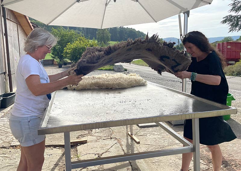 Gutschein – Fellfilzen Workshop: Ein ganzes Schafwollfell filzen. Tagesworkshop von 8-19 Uhr. Inklusive Verpflegung und sämtliches Material. Keine Vorkenntnisse nötig. Du hast in diesem Workshop Zeit um ein grosses Schafwollfell zu filzen (Wolle von einem ganzen Schaf). Ein weiches, flauschiges Fell bereichert jede Seele und verströmt die richtige Portion «Gemütlichkeit» in deinem Zuhause. Gefilzte Felle sind Zeugen vom freien Leben der Schafe, sie sind pur, natürlich und aus 100 % Wolle, ganz ohne Leder. Ich bringe dir Schritt für Schritt bei, wie du ein eigenes, handgefertigtes Schaffell herstellst. Dabei werden wir die geschorene, unbehandelte Rohwolle von glücklichen Schafen mit Wasser und Seife so verarbeiten, dass ihre Felloptik möglichst erhalten bleibt. Die Rückseite darfst du individuell gestalten. Fellfilzen ist ein schmutziger aber sinnlicher Job.