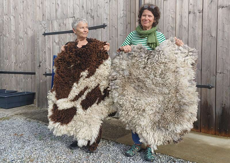 Gutschein – Fellfilzen Workshop: Ein ganzes Schafwollfell filzen. Tagesworkshop von 8-19 Uhr. Inklusive Verpflegung und sämtliches Material. Keine Vorkenntnisse nötig. Du hast in diesem Workshop Zeit um ein grosses Schafwollfell zu filzen (Wolle von einem ganzen Schaf). Ein weiches, flauschiges Fell bereichert jede Seele und verströmt die richtige Portion «Gemütlichkeit» in deinem Zuhause. Gefilzte Felle sind Zeugen vom freien Leben der Schafe, sie sind pur, natürlich und aus 100 % Wolle, ganz ohne Leder. Ich bringe dir Schritt für Schritt bei, wie du ein eigenes, handgefertigtes Schaffell herstellst. Dabei werden wir die geschorene, unbehandelte Rohwolle von glücklichen Schafen mit Wasser und Seife so verarbeiten, dass ihre Felloptik möglichst erhalten bleibt. Die Rückseite darfst du individuell gestalten. Fellfilzen ist ein schmutziger aber sinnlicher Job.