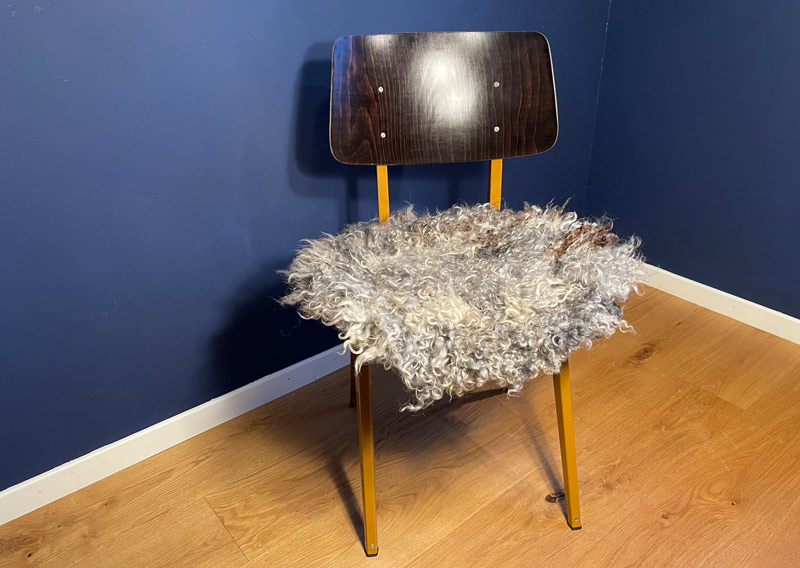 Gutschein – Fellfilzen Workshop: Ein Locken-Sitzfell filzen. Halbtagesworkshop von 13-19 Uhr. Inklusive Verpflegung und sämtliches Material. Keine Vorkenntnisse nötig. Du hast in diesem Workshop Zeit um ein Sitz- oder Dekokissen mit den Locken vom Gotland-Pelzschafe oder dem Wensleydale zu filzen. Die edle Wolle glänzt wie Seide, ist etwas schwerer und fühlt sich extrem fein und weich an. Auch die welligen langen Wolllocken vom Zackelschaf können in diesem Workshop zu einem Sitzfell gefilzt werden. Für die Herstellung solcher Felle braucht es viel Geduld und Handarbeit, da die Locken nicht zusammenhängend sind. Locken für Locken legen wir sorgsam in die Form - und ja, es lohnt sich, die Unikate schmücken märchenhaft hygge den Wohnbereich und sind ein Magnet für Auge und Hand.
Ich versuche, jederzeit eine möglichst reiche Auswahl an Schafrassen bei Jawoll vorrätig zu haben - das ist jedoch abhängig von der Schur, der Wollqualität und den Möglichkeiten, die Wolle zu beziehen. Seid offen, welche Wolle die Schafe uns zum Fertigen der Lockenfelle schenken – wir arbeiten mit dem sonnigen Rohstoff, den wir zum Zeitpunkt des Workshops zur Verfügung haben. 

Ein weiches, flauschiges Fell bereichert jede Seele und verströmt die richtige Portion «Gemütlichkeit» in deinem Zuhause. Gefilzte Felle sind Zeugen vom freien Leben der Schafe, sie sind pur, natürlich und aus 100 % Wolle, ganz ohne Leder. Ich bringe dir Schritt für Schritt bei, wie du ein eigenes, handgefertigtes Schaffell herstellst. Dabei werden wir die geschorene, unbehandelte Rohwolle von glücklichen Schafen mit Wasser und Seife so verarbeiten, dass ihre Felloptik möglichst erhalten bleibt. Die Rückseite darfst du individuell gestalten. Fellfilzen ist ein schmutziger aber sinnlicher Job.