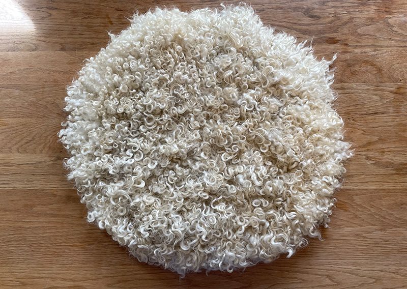 Gutschein – Fellfilzen Workshop: Ein Locken-Sitzfell filzen. Halbtagesworkshop von 13-19 Uhr. Inklusive Verpflegung und sämtliches Material. Keine Vorkenntnisse nötig. Du hast in diesem Workshop Zeit um ein Sitz- oder Dekokissen mit den Locken vom Gotland-Pelzschafe oder dem Wensleydale zu filzen. Die edle Wolle glänzt wie Seide, ist etwas schwerer und fühlt sich extrem fein und weich an. Auch die welligen langen Wolllocken vom Zackelschaf können in diesem Workshop zu einem Sitzfell gefilzt werden. Für die Herstellung solcher Felle braucht es viel Geduld und Handarbeit, da die Locken nicht zusammenhängend sind. Locken für Locken legen wir sorgsam in die Form - und ja, es lohnt sich, die Unikate schmücken märchenhaft hygge den Wohnbereich und sind ein Magnet für Auge und Hand.
Ich versuche, jederzeit eine möglichst reiche Auswahl an Schafrassen bei Jawoll vorrätig zu haben - das ist jedoch abhängig von der Schur, der Wollqualität und den Möglichkeiten, die Wolle zu beziehen. Seid offen, welche Wolle die Schafe uns zum Fertigen der Lockenfelle schenken – wir arbeiten mit dem sonnigen Rohstoff, den wir zum Zeitpunkt des Workshops zur Verfügung haben. 

Ein weiches, flauschiges Fell bereichert jede Seele und verströmt die richtige Portion «Gemütlichkeit» in deinem Zuhause. Gefilzte Felle sind Zeugen vom freien Leben der Schafe, sie sind pur, natürlich und aus 100 % Wolle, ganz ohne Leder. Ich bringe dir Schritt für Schritt bei, wie du ein eigenes, handgefertigtes Schaffell herstellst. Dabei werden wir die geschorene, unbehandelte Rohwolle von glücklichen Schafen mit Wasser und Seife so verarbeiten, dass ihre Felloptik möglichst erhalten bleibt. Die Rückseite darfst du individuell gestalten. Fellfilzen ist ein schmutziger aber sinnlicher Job.