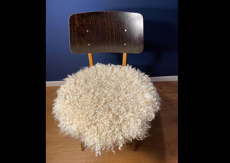 Gutschein – Fellfilzen Workshop: Zwei Locken-Sitzfelle filzen. Tagesworkshop von 8-19 Uhr. Inklusive Verpflegung und sämtliches Material. Keine Vorkenntnisse nötig. Du hast in diesem Workshop Zeit um zwei Sitz- oder Dekokissen mit den Locken vom Gotland-Pelzschafe oder dem Wensleydale zu filzen. Die edle Wolle glänzt wie Seide, ist etwas schwerer und fühlt sich extrem fein und weich an. Auch die welligen langen Wolllocken vom Zackelschaf können in diesem Workshop zu einem Sitzfell gefilzt werden. Für die Herstellung solcher Felle braucht es viel Geduld und Handarbeit, da die Locken nicht zusammenhängend sind. Locken für Locken legen wir sorgsam in die Form - und ja, es lohnt sich, die Unikate schmücken märchenhaft hygge den Wohnbereich und sind ein Magnet für Auge und Hand.
Ich versuche, jederzeit eine möglichst reiche Auswahl an Schafrassen bei Jawoll vorrätig zu haben - das ist jedoch abhängig von der Schur, der Wollqualität und den Möglichkeiten, die Wolle zu beziehen. Seid offen, welche Wolle die Schafe uns zum Fertigen der Lockenfelle schenken – wir arbeiten mit dem sonnigen Rohstoff, den wir zum Zeitpunkt des Workshops zur Verfügung haben. 

Ein weiches, flauschiges Fell bereichert jede Seele und verströmt die richtige Portion «Gemütlichkeit» in deinem Zuhause. Gefilzte Felle sind Zeugen vom freien Leben der Schafe, sie sind pur, natürlich und aus 100 % Wolle, ganz ohne Leder. Ich bringe dir Schritt für Schritt bei, wie du ein eigenes, handgefertigtes Schaffell herstellst. Dabei werden wir die geschorene, unbehandelte Rohwolle von glücklichen Schafen mit Wasser und Seife so verarbeiten, dass ihre Felloptik möglichst erhalten bleibt. Die Rückseite darfst du individuell gestalten. Fellfilzen ist ein schmutziger aber sinnlicher Job.