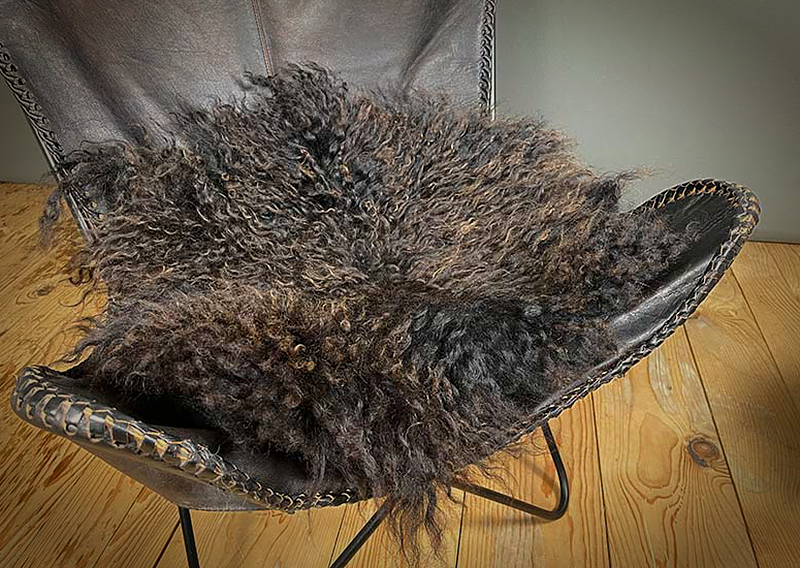 Gefilztes Zackelschaf-Fell – Schwarze Eleganz von der Insel Texel.
Dieses seltene Zackelschaf, ursprünglich eine uralte Rasse aus Ungarn und dem Balkan, lebte auf der windumtosten Insel Texel in den Niederlanden. Sand, Sonne und das raue Meeresklima prägen die Tiere ebenso wie ihre samtweichen, welligen Strähnen – ein unverkennbares Zeichen ihrer Robustheit und Einzigartigkeit.

Dieses kleinere, handgefilzte Fell besticht durch seine tiefschwarze Farbe und die geschmeidige, natürliche Struktur. Perfekt für gemütliche Sitzplätze, zum Kuscheln oder als dekorativer Akzent, der ein Stück Natur in dein Zuhause bringt.

Ein Stück Geschichte, ein Stück Küste, ein Stück handgefertigter Charme – für Liebhaber des Besonderen.