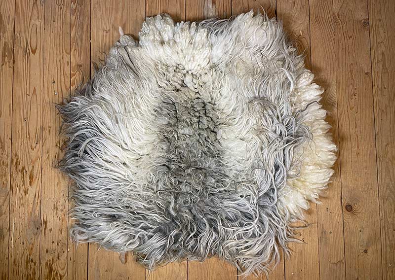 Die Wilde. 
Dieses besondere Filzfell stammt vom Drenthe Heideschaf – ursprünglich, lebendig und zugleich überraschend weich.
An den Rändern habe ich es mit feiner Romneywolle ergänzt – ein harmonisches Zusammenspiel aus Natürlichkeit und Eleganz.

Das Fell begeistert mit seinen langen, leicht gewellten Haaren in Holunderblütenweiss und Nebelgrau, durchzogen von silbrigen Schattierungen, die je nach Licht schimmern.
Ein echtes Liebhaberstück mit charaktervollem Charme – perfekt für die Gartenbank, den Lesesessel oder einfach als Blickfang in deinem Zuhause.

Wichtig zu wissen: Dieses Naturfell ist lebendig in seiner Ausstrahlung – beim Durchkämmen mit den Fingern können einige Haare zurückbleiben. Das macht es umso authentischer und verleiht ihm den Zauber, als hätte man ein kleines Stück Natur bei sich zu Hause.
Optisch bleibt „Die Wilde“ immer in Bestform und wird dich lange begleiten.
