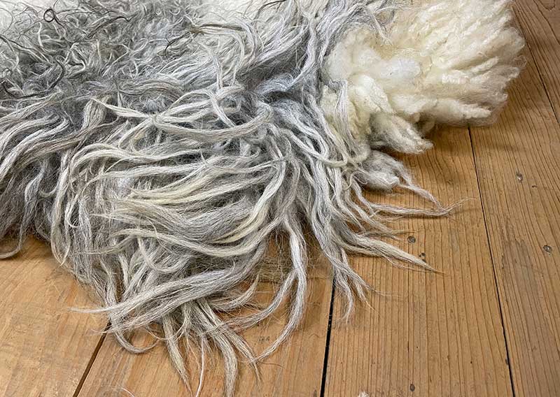 Die Wilde. 
Dieses besondere Filzfell stammt vom Drenthe Heideschaf – ursprünglich, lebendig und zugleich überraschend weich.
An den Rändern habe ich es mit feiner Romneywolle ergänzt – ein harmonisches Zusammenspiel aus Natürlichkeit und Eleganz.

Das Fell begeistert mit seinen langen, leicht gewellten Haaren in Holunderblütenweiss und Nebelgrau, durchzogen von silbrigen Schattierungen, die je nach Licht schimmern.
Ein echtes Liebhaberstück mit charaktervollem Charme – perfekt für die Gartenbank, den Lesesessel oder einfach als Blickfang in deinem Zuhause.

Wichtig zu wissen: Dieses Naturfell ist lebendig in seiner Ausstrahlung – beim Durchkämmen mit den Fingern können einige Haare zurückbleiben. Das macht es umso authentischer und verleiht ihm den Zauber, als hätte man ein kleines Stück Natur bei sich zu Hause.
Optisch bleibt „Die Wilde“ immer in Bestform und wird dich lange begleiten.