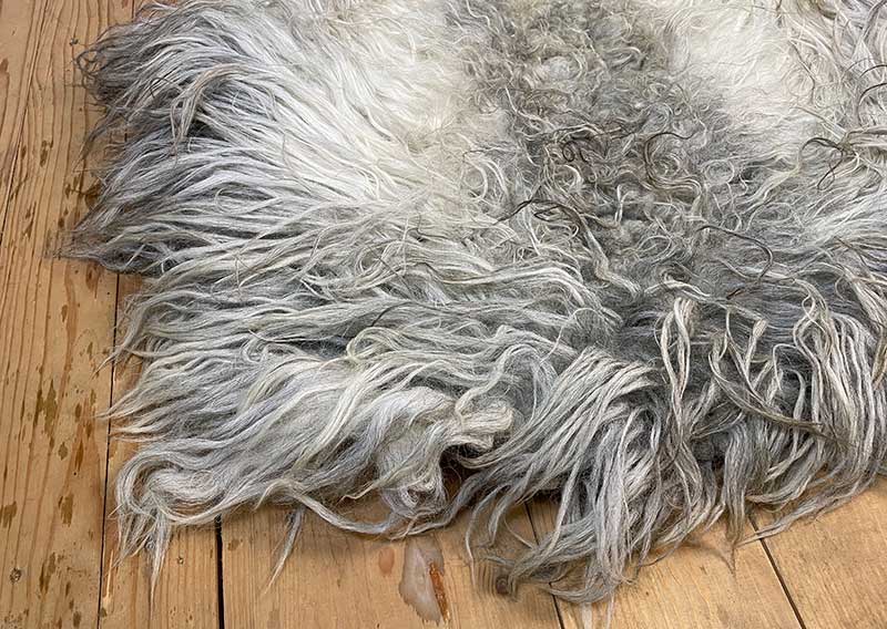 Die Wilde. 
Dieses besondere Filzfell stammt vom Drenthe Heideschaf – ursprünglich, lebendig und zugleich überraschend weich.
An den Rändern habe ich es mit feiner Romneywolle ergänzt – ein harmonisches Zusammenspiel aus Natürlichkeit und Eleganz.

Das Fell begeistert mit seinen langen, leicht gewellten Haaren in Holunderblütenweiss und Nebelgrau, durchzogen von silbrigen Schattierungen, die je nach Licht schimmern.
Ein echtes Liebhaberstück mit charaktervollem Charme – perfekt für die Gartenbank, den Lesesessel oder einfach als Blickfang in deinem Zuhause.

Wichtig zu wissen: Dieses Naturfell ist lebendig in seiner Ausstrahlung – beim Durchkämmen mit den Fingern können einige Haare zurückbleiben. Das macht es umso authentischer und verleiht ihm den Zauber, als hätte man ein kleines Stück Natur bei sich zu Hause.
Optisch bleibt „Die Wilde“ immer in Bestform und wird dich lange begleiten.