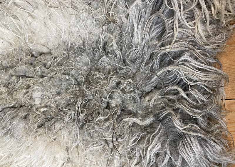 Die Wilde. 
Dieses besondere Filzfell stammt vom Drenthe Heideschaf – ursprünglich, lebendig und zugleich überraschend weich.
An den Rändern habe ich es mit feiner Romneywolle ergänzt – ein harmonisches Zusammenspiel aus Natürlichkeit und Eleganz.

Das Fell begeistert mit seinen langen, leicht gewellten Haaren in Holunderblütenweiss und Nebelgrau, durchzogen von silbrigen Schattierungen, die je nach Licht schimmern.
Ein echtes Liebhaberstück mit charaktervollem Charme – perfekt für die Gartenbank, den Lesesessel oder einfach als Blickfang in deinem Zuhause.

Wichtig zu wissen: Dieses Naturfell ist lebendig in seiner Ausstrahlung – beim Durchkämmen mit den Fingern können einige Haare zurückbleiben. Das macht es umso authentischer und verleiht ihm den Zauber, als hätte man ein kleines Stück Natur bei sich zu Hause.
Optisch bleibt „Die Wilde“ immer in Bestform und wird dich lange begleiten.