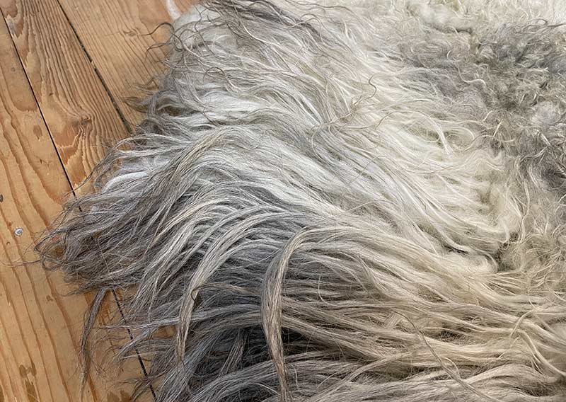 Die Wilde. 
Dieses besondere Filzfell stammt vom Drenthe Heideschaf – ursprünglich, lebendig und zugleich überraschend weich.
An den Rändern habe ich es mit feiner Romneywolle ergänzt – ein harmonisches Zusammenspiel aus Natürlichkeit und Eleganz.

Das Fell begeistert mit seinen langen, leicht gewellten Haaren in Holunderblütenweiss und Nebelgrau, durchzogen von silbrigen Schattierungen, die je nach Licht schimmern.
Ein echtes Liebhaberstück mit charaktervollem Charme – perfekt für die Gartenbank, den Lesesessel oder einfach als Blickfang in deinem Zuhause.

Wichtig zu wissen: Dieses Naturfell ist lebendig in seiner Ausstrahlung – beim Durchkämmen mit den Fingern können einige Haare zurückbleiben. Das macht es umso authentischer und verleiht ihm den Zauber, als hätte man ein kleines Stück Natur bei sich zu Hause.
Optisch bleibt „Die Wilde“ immer in Bestform und wird dich lange begleiten.