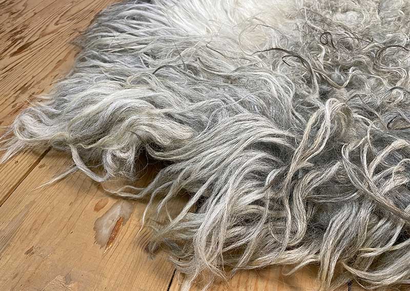 Die Wilde. 
Dieses besondere Filzfell stammt vom Drenthe Heideschaf – ursprünglich, lebendig und zugleich überraschend weich.
An den Rändern habe ich es mit feiner Romneywolle ergänzt – ein harmonisches Zusammenspiel aus Natürlichkeit und Eleganz.

Das Fell begeistert mit seinen langen, leicht gewellten Haaren in Holunderblütenweiss und Nebelgrau, durchzogen von silbrigen Schattierungen, die je nach Licht schimmern.
Ein echtes Liebhaberstück mit charaktervollem Charme – perfekt für die Gartenbank, den Lesesessel oder einfach als Blickfang in deinem Zuhause.

Wichtig zu wissen: Dieses Naturfell ist lebendig in seiner Ausstrahlung – beim Durchkämmen mit den Fingern können einige Haare zurückbleiben. Das macht es umso authentischer und verleiht ihm den Zauber, als hätte man ein kleines Stück Natur bei sich zu Hause.
Optisch bleibt „Die Wilde“ immer in Bestform und wird dich lange begleiten.