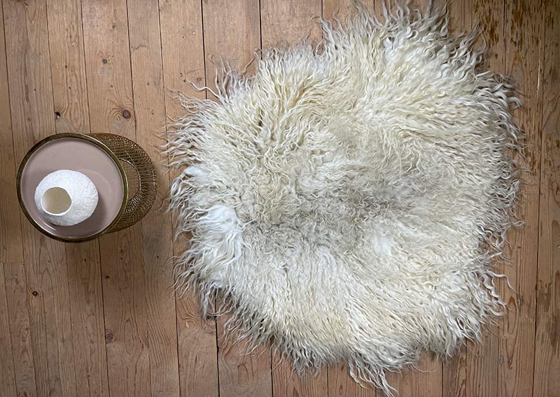 Die Hörnerträgerin.
Hier kommt ein Fell, das dir beim Anblick Gänsehaut zaubern kann – „Die Hörnerträgerin“.
Dieses eindrucksvolle Stück stammt von einem ganzen Zackelschaf – einer uralten, ungarischen Schafrasse mit legendären, korkenzieherförmig gedrehten Hörnern. Eine Erscheinung, die Respekt einflösst – und jetzt als Fell genauso viel Persönlichkeit ausstrahlt wie das Tier selbst.

Die Wolle ist kräftig, wild und ursprünglich – in der Mitte kürzer (rund 10–12 cm), zu den Rändern hin stolz wachsend bis zu 30 cm. Die Farbe: ein natürliches Sonnenwollweiss, das an warmes Licht erinnert – nicht makellos, sondern echt, lebendig und voller Charakter.

Dieses Fell ist kein zartes Kuschelstück – es ist stark, ungezähmt, ein Statement.
Nutze es auf dem Sofa, als Bodenstück, als dramatischen Centerpiece – wo immer du willst, es wird auffallen.
Die robuste Natur des Fells macht es langlebig, und sein wildes Aussehen erzählt von Freiheit, Ursprünglichkeit und vom Zauber der alten Schafrassen.

Mit einem Augenzwinkern: „Der Hörnerträger“ ist sicher kein Fell für Feiglinge – aber für die, die sich trauen, Natur zu wohnen.