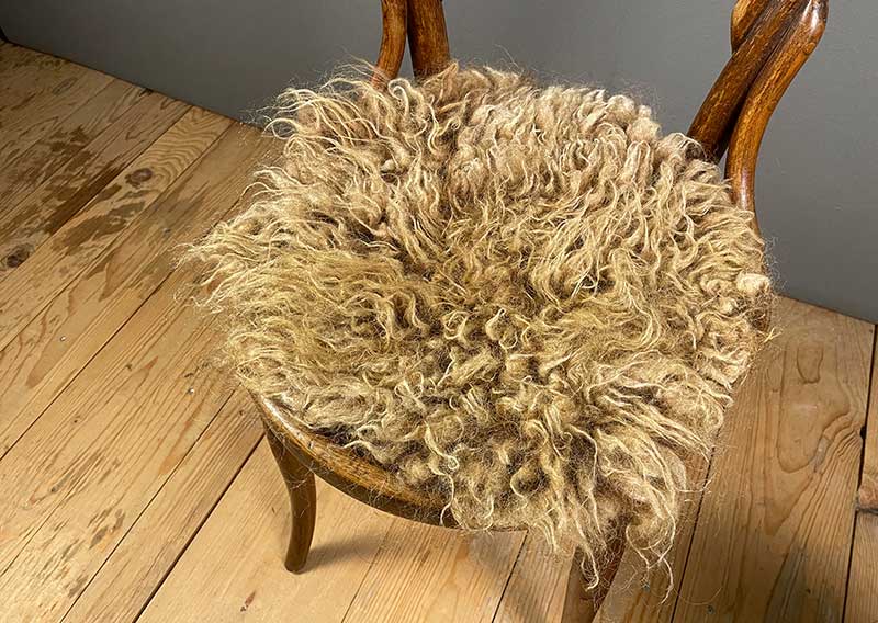 Sitzfell vom Engadiner Schaf – karamellbraun wie gebrannte Mandeln.
Dieses Sitzfell stammt von einem Engadiner Schaf aus dem Kanton Luzern – einer robusten, urtümlichen Rasse mit Geschichte. Ihr dichtes, leicht gelocktes Vlies schimmert in einem warmen Karamellbraun, das mich an gebrannte Mandeln erinnert.

Das Engadiner Schaf gilt als besonders widerstandsfähig und anpassungsfähig, perfekt für das alpine Klima. Seine Wolle ist kräftig, mit Charakter – nicht weich im klassischen Sinn, aber wunderbar authentisch, naturbelassen und voller Leben.

Ein Stück Schweizer Ursprünglichkeit – fürs Sitzen, Spüren und Geniessen.