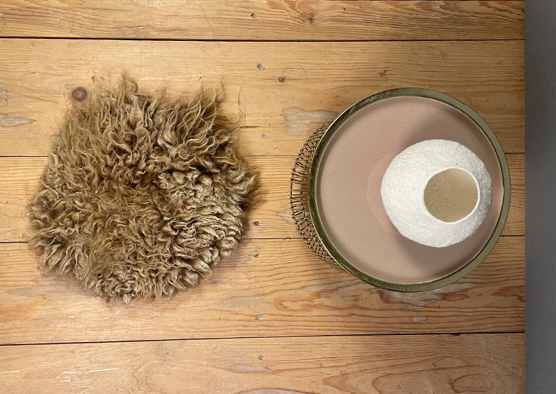 Sitzfell vom Engadiner Schaf – karamellbraun wie gebrannte Mandeln.
Dieses Sitzfell stammt von einem Engadiner Schaf aus dem Kanton Luzern – einer robusten, urtümlichen Rasse mit Geschichte. Ihr dichtes, leicht gelocktes Vlies schimmert in einem warmen Karamellbraun, das mich an gebrannte Mandeln erinnert.

Das Engadiner Schaf gilt als besonders widerstandsfähig und anpassungsfähig, perfekt für das alpine Klima. Seine Wolle ist kräftig, mit Charakter – nicht weich im klassischen Sinn, aber wunderbar authentisch, naturbelassen und voller Leben.

Ein Stück Schweizer Ursprünglichkeit – fürs Sitzen, Spüren und Geniessen.