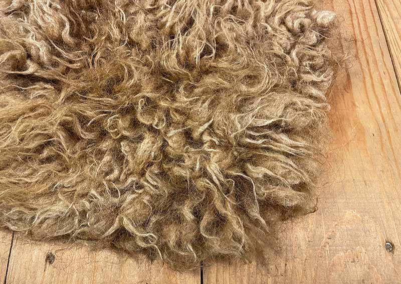 Sitzfell vom Engadiner Schaf – karamellbraun wie gebrannte Mandeln.
Dieses Sitzfell stammt von einem Engadiner Schaf aus dem Kanton Luzern – einer robusten, urtümlichen Rasse mit Geschichte. Ihr dichtes, leicht gelocktes Vlies schimmert in einem warmen Karamellbraun, das mich an gebrannte Mandeln erinnert.

Das Engadiner Schaf gilt als besonders widerstandsfähig und anpassungsfähig, perfekt für das alpine Klima. Seine Wolle ist kräftig, mit Charakter – nicht weich im klassischen Sinn, aber wunderbar authentisch, naturbelassen und voller Leben.

Ein Stück Schweizer Ursprünglichkeit – fürs Sitzen, Spüren und Geniessen.