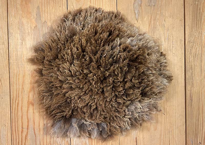 Sitzfell vom Bergschaf – Schokomelange mit Herz.
Dieses Sitzfell stammt von einem Bergschaf aus Graubünden – ein kuschliges Stück Natur in Schokoladenbraun mit zarten Sahnetupfen. Die feine Melierung erinnert an eine Tasse heisse Schokolade mit Rahmhaube – einfach zum Reinsetzen schön.

Die Wolle ist weich, dicht und herrlich knuffig, ideal zum gemütlichen Sitzen und Verweilen. Auf der Rückseite ist ein Herz eingefilzt – als kleiner Gruss von der Fellfilzerei und vielleicht auch ein bisschen als Liebeserklärung an das Schaf.