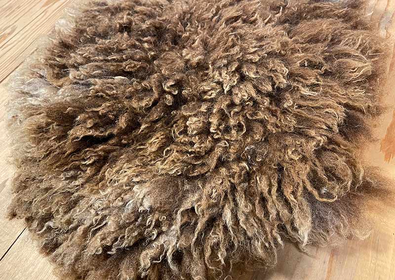 Sitzfell vom Bergschaf – Schokomelange mit Herz.
Dieses Sitzfell stammt von einem Bergschaf aus Graubünden – ein kuschliges Stück Natur in Schokoladenbraun mit zarten Sahnetupfen. Die feine Melierung erinnert an eine Tasse heisse Schokolade mit Rahmhaube – einfach zum Reinsetzen schön.

Die Wolle ist weich, dicht und herrlich knuffig, ideal zum gemütlichen Sitzen und Verweilen. Auf der Rückseite ist ein Herz eingefilzt – als kleiner Gruss von der Fellfilzerei und vielleicht auch ein bisschen als Liebeserklärung an das Schaf.