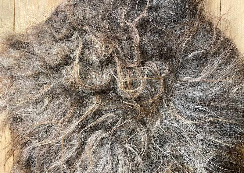 Sitzfell vom Walliser Landschaf – Schokoladenmelange mit Sonnenkuss.
Dieses Sitzfell trägt das Abenteuer schon im Fell. Langsträhnig, ungebändigt, eigenwillig schön – so, wie es eben ein Walliser Landschaf zustande bringt.

Die Farbe erinnert an Schokoladenmelange mit einem Hauch von Sonne, dort, wo die Strähnen leicht sonnengebleicht wirken. Mal schimmert es dunkelbraun, mal anthrazit – als hätte der Wind selbst den Pinsel geführt.

Das Fell ist leicht und beweglich, lässt sich wunderbar zusammenrollen und mitnehmen – sei es auf eine Wanderung, ans Seeufer oder einfach auf den Lieblingsstuhl daheim.

Kein Stück für Perfektionistinnen – aber ein echtes Stück Freiheit.