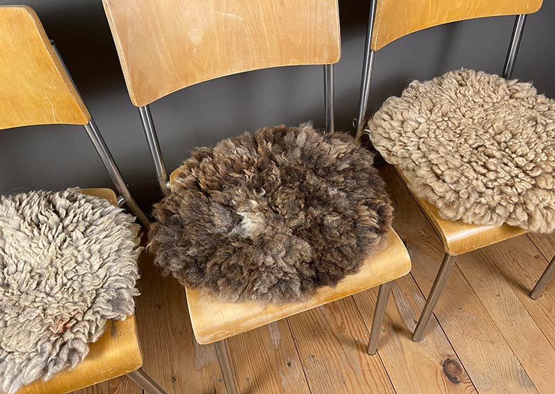 Sitzfell vom Texelschaf – Schokoladenmelange modern.
Dieses Sitzfell stammt von einem blauen Texelschaf von der Insel Texel – ein kompaktes, knuffiges Stück Natur in Schokoladenbraun mit hellen Einsprengseln, ein bisschen wie Schokolade mit einem Hauch Milch. Ein kühles, modernes Braun, das sich mühelos in jede Umgebung einfügt.

Die Wolle ist kräftig, dicht und komfortabel, ideal, um sich darauf niederzulassen, die Seele baumeln zu lassen und einfach den Moment zu geniessen.

Das Texelschaf stammt aus den Niederlanden von der Insel Texel und ist bekannt für seine Vielseitigkeit, Robustheit und sanfte Art. Es liefert Wolle, Fleisch und Ruhepol zugleich – ein echtes Allround-Talent unter den Schafen.

Ein Sitzfell mit Charakter – charmant, ehrlich und jawoll, genau so wie ein Texelschaf es liebt.