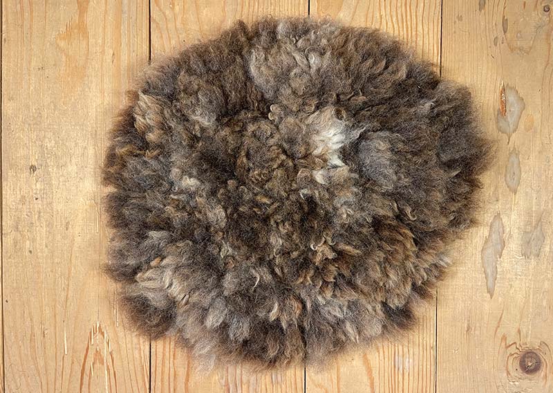 Sitzfell vom Texelschaf – Schokoladenmelange modern.
Dieses Sitzfell stammt von einem blauen Texelschaf von der Insel Texel – ein kompaktes, knuffiges Stück Natur in Schokoladenbraun mit hellen Einsprengseln, ein bisschen wie Schokolade mit einem Hauch Milch. Ein kühles, modernes Braun, das sich mühelos in jede Umgebung einfügt.

Die Wolle ist kräftig, dicht und komfortabel, ideal, um sich darauf niederzulassen, die Seele baumeln zu lassen und einfach den Moment zu geniessen.

Das Texelschaf stammt aus den Niederlanden von der Insel Texel und ist bekannt für seine Vielseitigkeit, Robustheit und sanfte Art. Es liefert Wolle, Fleisch und Ruhepol zugleich – ein echtes Allround-Talent unter den Schafen.

Ein Sitzfell mit Charakter – charmant, ehrlich und jawoll, genau so wie ein Texelschaf es liebt.