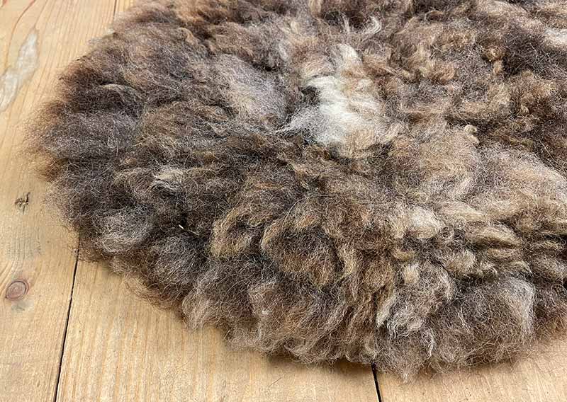 Sitzfell vom Texelschaf – Schokoladenmelange modern.
Dieses Sitzfell stammt von einem blauen Texelschaf von der Insel Texel – ein kompaktes, knuffiges Stück Natur in Schokoladenbraun mit hellen Einsprengseln, ein bisschen wie Schokolade mit einem Hauch Milch. Ein kühles, modernes Braun, das sich mühelos in jede Umgebung einfügt.

Die Wolle ist kräftig, dicht und komfortabel, ideal, um sich darauf niederzulassen, die Seele baumeln zu lassen und einfach den Moment zu geniessen.

Das Texelschaf stammt aus den Niederlanden von der Insel Texel und ist bekannt für seine Vielseitigkeit, Robustheit und sanfte Art. Es liefert Wolle, Fleisch und Ruhepol zugleich – ein echtes Allround-Talent unter den Schafen.

Ein Sitzfell mit Charakter – charmant, ehrlich und jawoll, genau so wie ein Texelschaf es liebt.