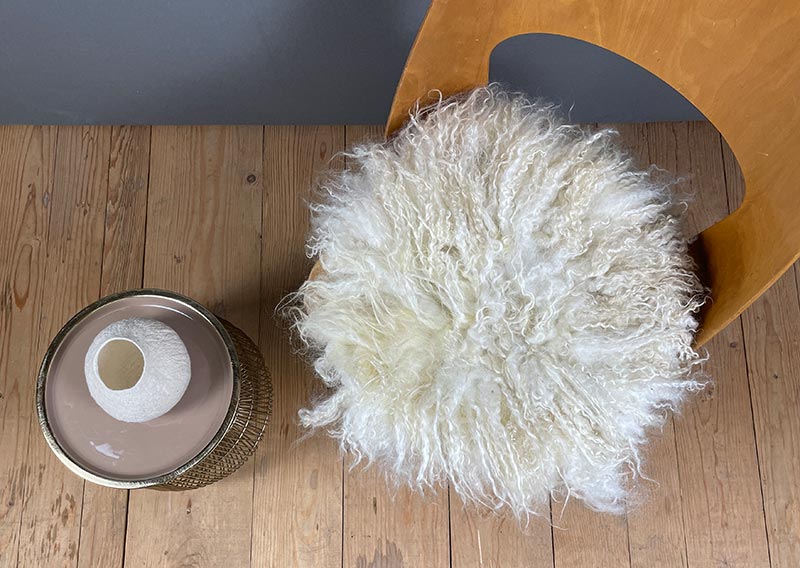 Sonnenaufgangsweiss – Sitzfell vom Walliser Schwarznasen-Schaf.
Ein bisschen wild darf’s schon sein. Dieses Fell vom Walliser Schwarznasen-Schaf bringt genau das mit: Locken, Zotteln und Charakter. Die Fasern sind unterschiedlich lang – bis zu 20 cm –, und jede Strähne scheint ihre eigene kleine Geschichte zu erzählen.

Gefilzt aus Wolle einer alten Walliser Rasse, die dort oben zwischen Felsen und Sonne zuhause ist. Wetterfest, robust und doch erstaunlich weich – so wie das Land, aus dem sie stammt.

Mit seinem grösseren Durchmesser (ca. 48 cm) passt dieses Sonnenaufgangsweiss-Fell wunderbar auf Sessel oder Stühle mit etwas mehr Platz.
Ein Stück Morgenglanz aus den Bergen – zum Sitzen, Durchatmen und die Gedanken schweifen lassen.