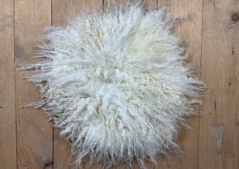 Sonnenaufgangsweiss – Sitzfell vom Walliser Schwarznasen-Schaf.
Ein bisschen wild darf’s schon sein. Dieses Fell vom Walliser Schwarznasen-Schaf bringt genau das mit: Locken, Zotteln und Charakter. Die Fasern sind unterschiedlich lang – bis zu 20 cm –, und jede Strähne scheint ihre eigene kleine Geschichte zu erzählen.

Gefilzt aus Wolle einer alten Walliser Rasse, die dort oben zwischen Felsen und Sonne zuhause ist. Wetterfest, robust und doch erstaunlich weich – so wie das Land, aus dem sie stammt.

Mit seinem grösseren Durchmesser (ca. 48 cm) passt dieses Sonnenaufgangsweiss-Fell wunderbar auf Sessel oder Stühle mit etwas mehr Platz.
Ein Stück Morgenglanz aus den Bergen – zum Sitzen, Durchatmen und die Gedanken schweifen lassen.