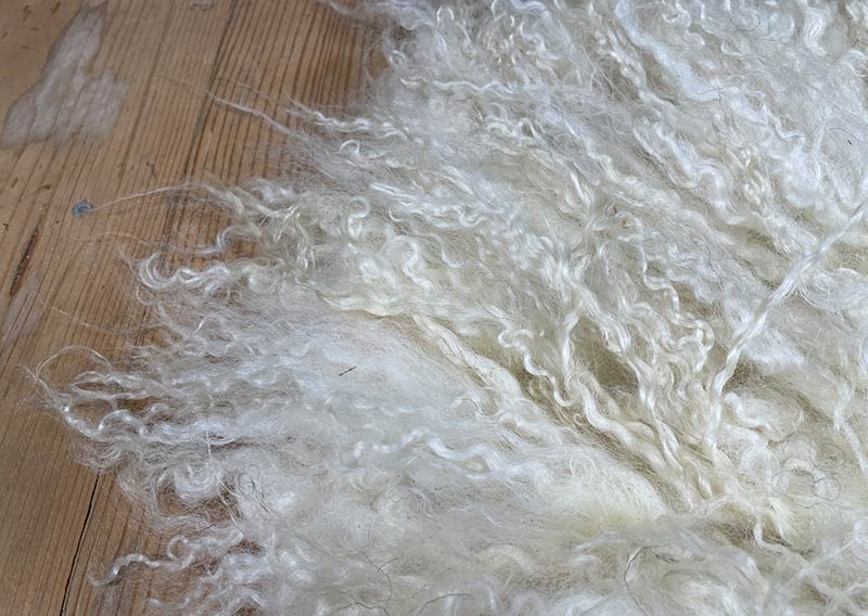 Sonnenaufgangsweiss – Sitzfell vom Walliser Schwarznasen-Schaf.
Ein bisschen wild darf’s schon sein. Dieses Fell vom Walliser Schwarznasen-Schaf bringt genau das mit: Locken, Zotteln und Charakter. Die Fasern sind unterschiedlich lang – bis zu 20 cm –, und jede Strähne scheint ihre eigene kleine Geschichte zu erzählen.

Gefilzt aus Wolle einer alten Walliser Rasse, die dort oben zwischen Felsen und Sonne zuhause ist. Wetterfest, robust und doch erstaunlich weich – so wie das Land, aus dem sie stammt.

Mit seinem grösseren Durchmesser (ca. 48 cm) passt dieses Sonnenaufgangsweiss-Fell wunderbar auf Sessel oder Stühle mit etwas mehr Platz.
Ein Stück Morgenglanz aus den Bergen – zum Sitzen, Durchatmen und die Gedanken schweifen lassen.