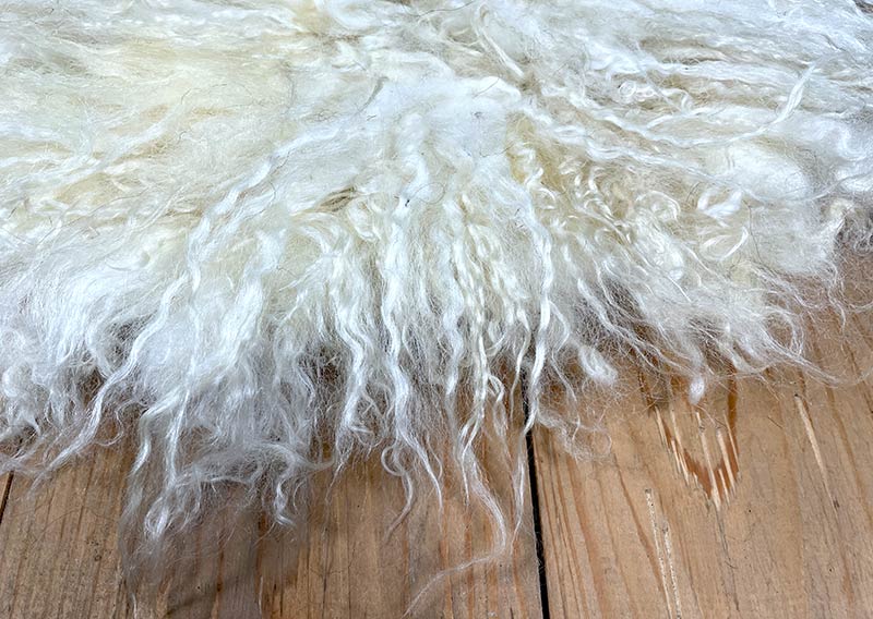 Sonnenaufgangsweiss – Sitzfell vom Walliser Schwarznasen-Schaf.
Ein bisschen wild darf’s schon sein. Dieses Fell vom Walliser Schwarznasen-Schaf bringt genau das mit: Locken, Zotteln und Charakter. Die Fasern sind unterschiedlich lang – bis zu 20 cm –, und jede Strähne scheint ihre eigene kleine Geschichte zu erzählen.

Gefilzt aus Wolle einer alten Walliser Rasse, die dort oben zwischen Felsen und Sonne zuhause ist. Wetterfest, robust und doch erstaunlich weich – so wie das Land, aus dem sie stammt.

Mit seinem grösseren Durchmesser (ca. 48 cm) passt dieses Sonnenaufgangsweiss-Fell wunderbar auf Sessel oder Stühle mit etwas mehr Platz.
Ein Stück Morgenglanz aus den Bergen – zum Sitzen, Durchatmen und die Gedanken schweifen lassen.