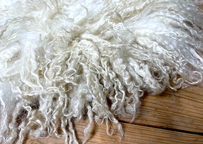 Sonnenaufgangsweiss – Sitzfell vom Walliser Schwarznasen-Schaf.
Ein bisschen wild darf’s schon sein. Dieses Fell vom Walliser Schwarznasen-Schaf bringt genau das mit: Locken, Zotteln und Charakter. Die Fasern sind unterschiedlich lang – bis zu 20 cm –, und jede Strähne scheint ihre eigene kleine Geschichte zu erzählen.

Gefilzt aus Wolle einer alten Walliser Rasse, die dort oben zwischen Felsen und Sonne zuhause ist. Wetterfest, robust und doch erstaunlich weich – so wie das Land, aus dem sie stammt.

Mit seinem grösseren Durchmesser (ca. 48 cm) passt dieses Sonnenaufgangsweiss-Fell wunderbar auf Sessel oder Stühle mit etwas mehr Platz.
Ein Stück Morgenglanz aus den Bergen – zum Sitzen, Durchatmen und die Gedanken schweifen lassen.