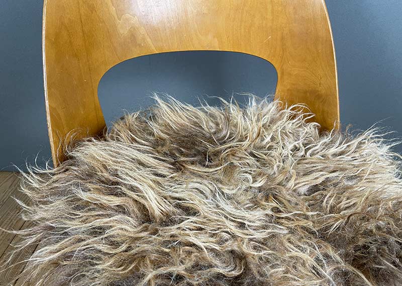 Haselnuss-Honig – Sitzkissen vom Walliser Landschaf.
Manchmal braucht es einfach ein bisschen mehr – mehr Flausch, mehr Wärme, mehr Raum zum Durchatmen. Dieses Sitzfell in Haselnuss-Honig hat Fasern, die bis zu 15 cm lang tanzen dürfen – robust, lebendig und mit einer Prise Wildheit.

Gefilzt aus der Wolle des Walliser Landschafs, einer alten Schweizer Rasse, die von ProSpecieRara erhalten und gefördert wird. Diese genügsamen, wetterfesten Schafe grasen auf den Bergweiden und Alpen – ihr Fell erzählt Geschichten von Wind, Sonne und Fels.

Das Sitzkissen ist etwas grösser im Durchmesser, perfekt für Sessel oder Stühle mit grosszügigerer Sitzfläche.
Ein Stück Bergnatur – zum Draufsitzen, Durchatmen und die Seele im Haselnusslicht baumeln lassen.