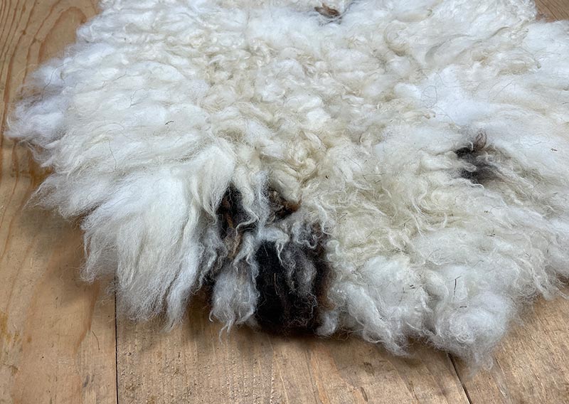 Ein Jakobschaf aus dem Oberemmental – und was für eines.
Das Jakobschaf ist eine alte, ursprüngliche Rasse, bekannt für ihr lebendiges Fleckenmuster und oft sogar für mehrere Hörner. Jedes Tier trägt seine Zeichnung wie ein Unikat – keine zwei Felle sind gleich. Dieses hier zeigt viel leuchtendes Weiss, sanft durchzogen von wenigen schwarzen Tupfern. Wie Schneefelder mit kleinen Schatteninseln.
Rund, weich und wunderbar fluffig schmiegt sich dieses Sitzfell unter dich. Es ist leicht, knuffig und zugleich voller Charakter – ein stiller Blickfang, der Wärme ausstrahlt, ohne laut zu sein.
Ein Stück Oberemmental. Ein bisschen Ursprünglichkeit. Und ganz viel Behaglichkeit. Jawoll.