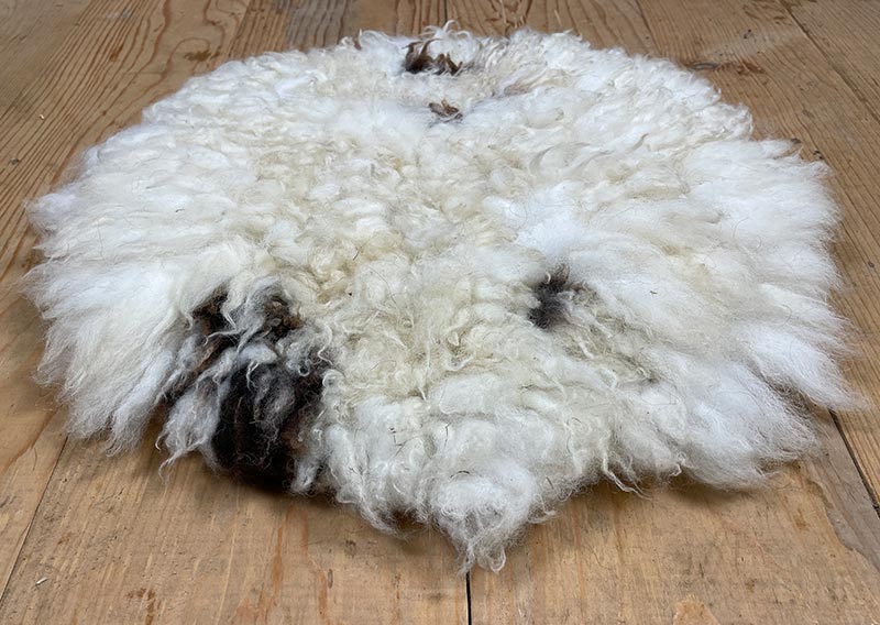 Ein Jakobschaf aus dem Oberemmental – und was für eines.
Das Jakobschaf ist eine alte, ursprüngliche Rasse, bekannt für ihr lebendiges Fleckenmuster und oft sogar für mehrere Hörner. Jedes Tier trägt seine Zeichnung wie ein Unikat – keine zwei Felle sind gleich. Dieses hier zeigt viel leuchtendes Weiss, sanft durchzogen von wenigen schwarzen Tupfern. Wie Schneefelder mit kleinen Schatteninseln.
Rund, weich und wunderbar fluffig schmiegt sich dieses Sitzfell unter dich. Es ist leicht, knuffig und zugleich voller Charakter – ein stiller Blickfang, der Wärme ausstrahlt, ohne laut zu sein.
Ein Stück Oberemmental. Ein bisschen Ursprünglichkeit. Und ganz viel Behaglichkeit. Jawoll.