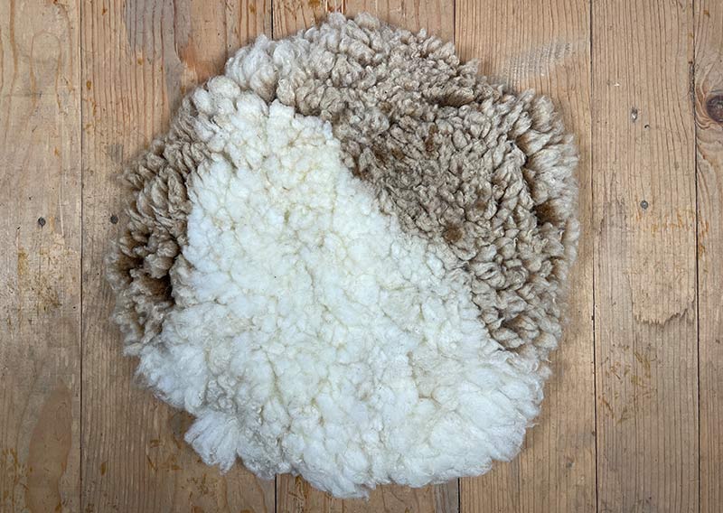 Aus Graubünden – und diesmal in Milchkaffee mit Milchschaum.
Dieses runde Sitzfell vom Spiegelschaf schimmert in zartem Cappuccino-Ton: helles Braun trifft auf Weiss, gefleckt – und doch so harmonisch, als hätte jemand mit Milchschaum ganz sanft darübergezogen. Warm und weich liegt es da. Einladend. Bereit für gemütliche Stunden.
Die Wolle ist angenehm kompakt und zugleich formstabil – komfortabel zum Sitzen, aber genauso schön zum Anschauen. Ein kleines Stück Bündner Herde, das Ruhe ausstrahlt und ein bisschen Kaffeepause ins Zuhause bringt.
Für Kaffeeliebhaber. Für Geniesser. Für alle, die es weich mögen.
Jawoll.