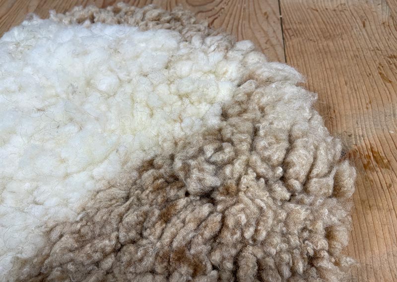 Aus Graubünden – und diesmal in Milchkaffee mit Milchschaum.
Dieses runde Sitzfell vom Spiegelschaf schimmert in zartem Cappuccino-Ton: helles Braun trifft auf Weiss, gefleckt – und doch so harmonisch, als hätte jemand mit Milchschaum ganz sanft darübergezogen. Warm und weich liegt es da. Einladend. Bereit für gemütliche Stunden.
Die Wolle ist angenehm kompakt und zugleich formstabil – komfortabel zum Sitzen, aber genauso schön zum Anschauen. Ein kleines Stück Bündner Herde, das Ruhe ausstrahlt und ein bisschen Kaffeepause ins Zuhause bringt.
Für Kaffeeliebhaber. Für Geniesser. Für alle, die es weich mögen.
Jawoll.